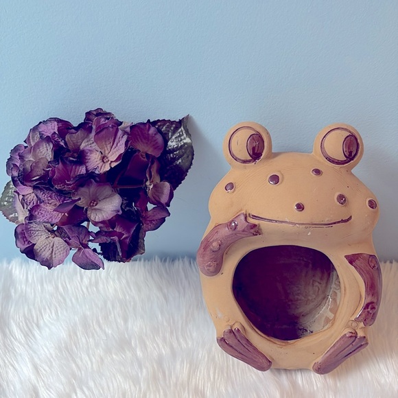 Cute Frog Hand-painted Planter Garden Home Decor Adorable Brown Pot Flower Vase! - Picture 2 of 10